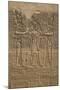 Decorative Wall Reliefs, Temple of Isis, Island of Philae, Aswan, Egypt, North Africa, Africa-Richard Maschmeyer-Mounted Photographic Print