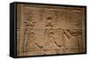 Decorative Wall Reliefs, Temple of Isis, Island of Philae, Aswan, Egypt, North Africa, Africa-Richard Maschmeyer-Framed Stretched Canvas