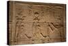 Decorative Wall Reliefs, Temple of Isis, Island of Philae, Aswan, Egypt, North Africa, Africa-Richard Maschmeyer-Stretched Canvas