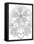 Decorative Windmill-Hello Angel-Framed Stretched Canvas