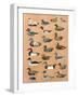 Decoy Ducks-Alex Williams-Framed Giclee Print