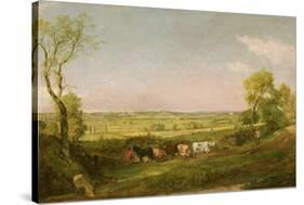 Dedham Vale: Morning, C.1811-John Constable-Stretched Canvas
