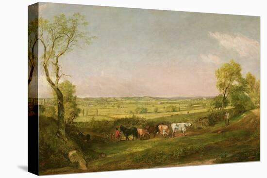 Dedham Vale: Morning, C.1811-John Constable-Stretched Canvas