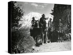Dedication of Mount Rainier National Park Horse Trail, July 9, 1931-Ashael Curtis-Stretched Canvas