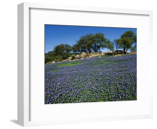 Framed Photographic Print, , large