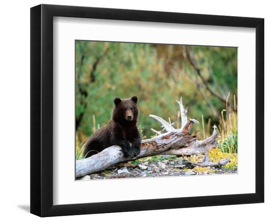 Premium Photographic Print, , large