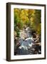 Dee River Cascades during Autumn Season, Scotland, Uk.-pink candy-Framed Photographic Print