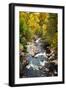 Dee River Cascades during Autumn Season, Scotland, Uk.-pink candy-Framed Photographic Print