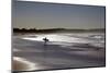 Dee Why Beach, Sydney, New South Wales, Australia, Pacific-Mark Mawson-Mounted Photographic Print