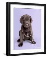 Deejay-Rachael Hale-Framed Photographic Print