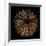 Deep 1: Brown Sea Urchin-Doris Mitsch-Framed Photographic Print