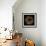 Deep 1: Brown Sea Urchin-Doris Mitsch-Framed Photographic Print displayed on a wall