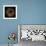 Deep 1: Brown Sea Urchin-Doris Mitsch-Framed Photographic Print displayed on a wall