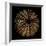 Deep 1: Brown Sea Urchin-Doris Mitsch-Framed Photographic Print