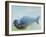 Deep, 2003-Mark Adlington-Framed Giclee Print