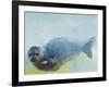 Deep, 2003-Mark Adlington-Framed Giclee Print