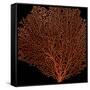 Deep 4: Red Fan Coral-Doris Mitsch-Framed Stretched Canvas