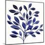 Deep Blue Branch II-Annie Warren-Mounted Art Print