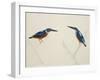Deep Blue Kingfisher-J. Briois-Framed Giclee Print