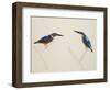 Deep Blue Kingfisher-J. Briois-Framed Giclee Print