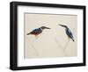 Deep Blue Kingfisher-J. Briois-Framed Giclee Print