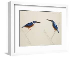 Deep Blue Kingfisher-J. Briois-Framed Giclee Print