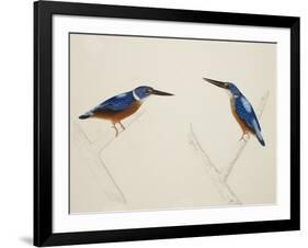Deep Blue Kingfisher-J. Briois-Framed Giclee Print