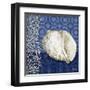 Deep Blue Sea III-Paul Brent-Framed Art Print