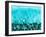 Deep Blue Sea-Jessica Torrant-Framed Art Print