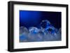 Deep Blue-Heidi Westum-Framed Photographic Print