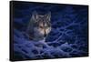 Deep Blue-Joh Naito-Framed Stretched Canvas