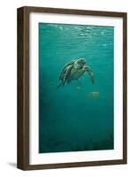 Deep Calm-Michael Jackson-Framed Giclee Print