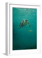 Deep Calm-Michael Jackson-Framed Giclee Print