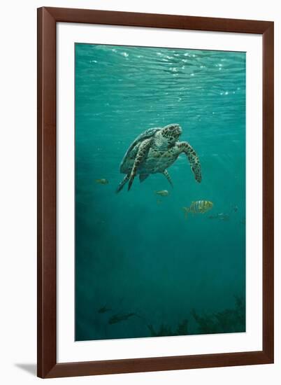 Deep Calm-Michael Jackson-Framed Giclee Print