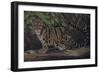 Deep Cover-Karie-Ann Cooper-Framed Giclee Print