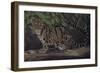 Deep Cover-Karie-Ann Cooper-Framed Premium Giclee Print