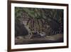 Deep Cover-Karie-Ann Cooper-Framed Giclee Print