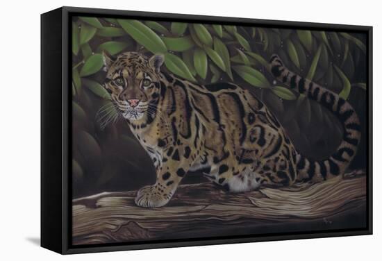 Deep Cover-Karie-Ann Cooper-Framed Stretched Canvas