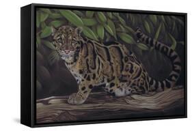 Deep Cover-Karie-Ann Cooper-Framed Stretched Canvas