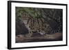 Deep Cover-Karie-Ann Cooper-Framed Giclee Print