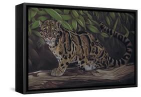 Deep Cover-Karie-Ann Cooper-Framed Stretched Canvas