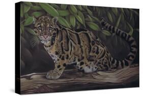 Deep Cover-Karie-Ann Cooper-Stretched Canvas