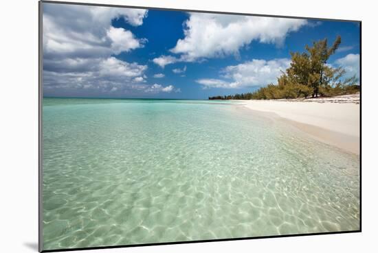 Deep Creek Shoreline-Larry Malvin-Mounted Photo