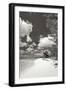 Deep Creek Tree BW-Larry Malvin-Framed Photographic Print