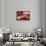 Deep Dish Blueberry Pie, with a scoop in front of the American Flag-Fred Lyon-Photographic Print displayed on a wall