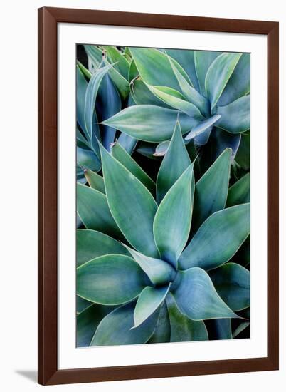 Deep Dive I-Elizabeth Urquhart-Framed Photographic Print