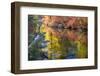 Deep Fall Colors, Wenatchee River, Stevens Pass Leavenworth, Washington State-William Perry-Framed Photographic Print