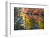 Deep Fall Colors, Wenatchee River, Stevens Pass Leavenworth, Washington State-William Perry-Framed Photographic Print