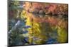 Deep Fall Colors, Wenatchee River, Stevens Pass Leavenworth, Washington State-William Perry-Mounted Photographic Print