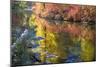 Deep Fall Colors, Wenatchee River, Stevens Pass Leavenworth, Washington State-William Perry-Mounted Photographic Print